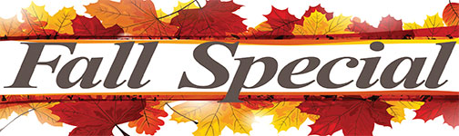 fall oil special